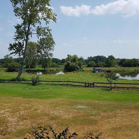 Gite 4Kms Plage Grand Domaine Prive Lacs Natura 2000 リ・エ・ミックス エクステリア 写真