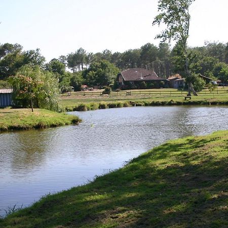 Gite 4Kms Plage Grand Domaine Prive Lacs Natura 2000 リ・エ・ミックス エクステリア 写真