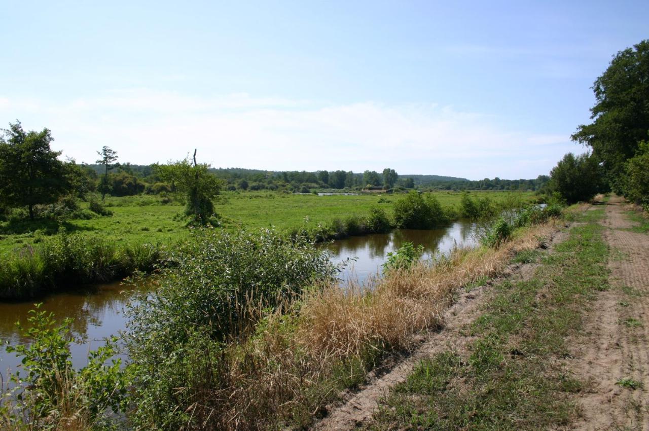 Gite 4Kms Plage Grand Domaine Prive Lacs Natura 2000 リ・エ・ミックス エクステリア 写真